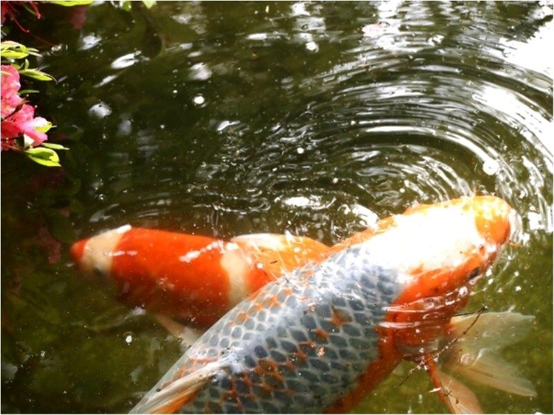 Atami Taikansou Bagian luar foto